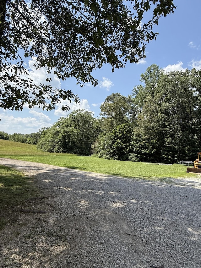 1264 Meiser Ln, Mcminnville, TN 37110 - photo 37