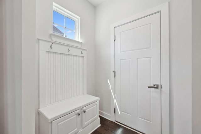 mudroom featuring dark wood-style flooring