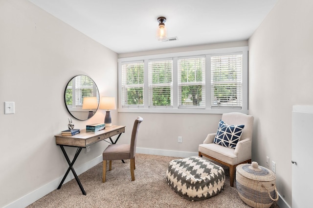 266 Tanksley Ave, Nashville, TN 37211 - photo 22