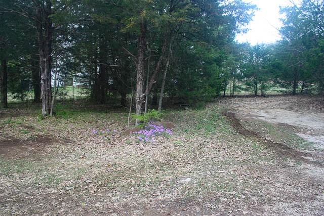 1705 Chapel Hill Pike, Eagleville, TN 37060