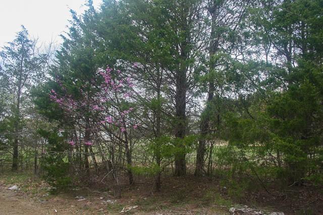 1705 Chapel Hill Pike, Eagleville, TN 37060