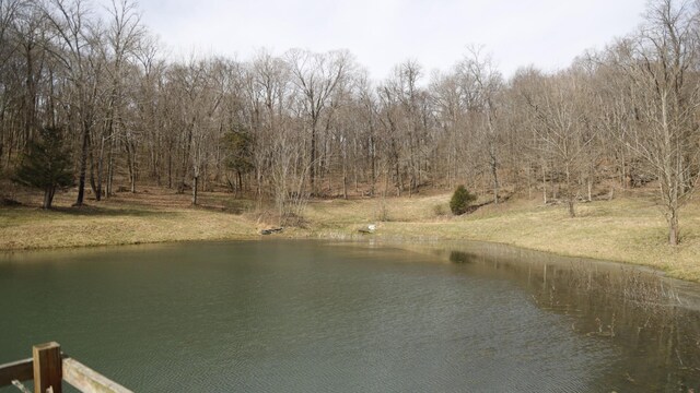 10515 Paw Paw Springs Rd, Arrington, TN 37014