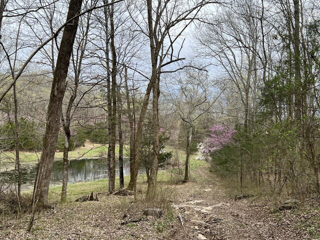 10515 Paw Paw Springs Rd, Arrington, TN 37014