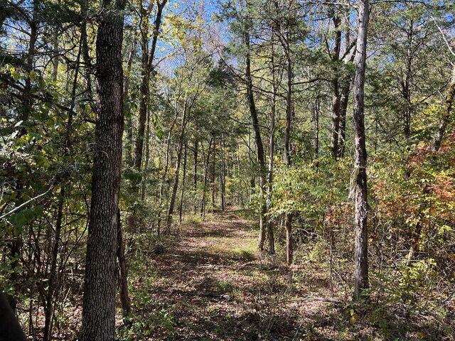 10515 Paw Paw Springs Rd, Arrington, TN 37014