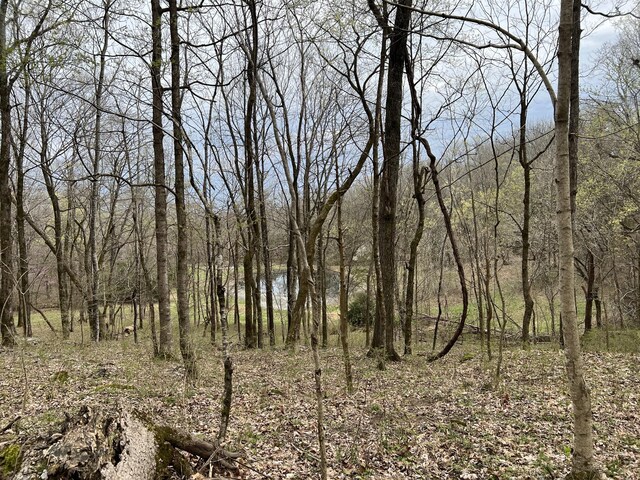 10515 Paw Paw Springs Rd, Arrington, TN 37014