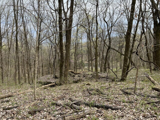 10515 Paw Paw Springs Rd, Arrington, TN 37014