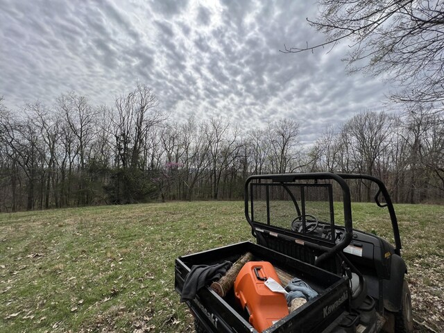 10515 Paw Paw Springs Rd, Arrington, TN 37014