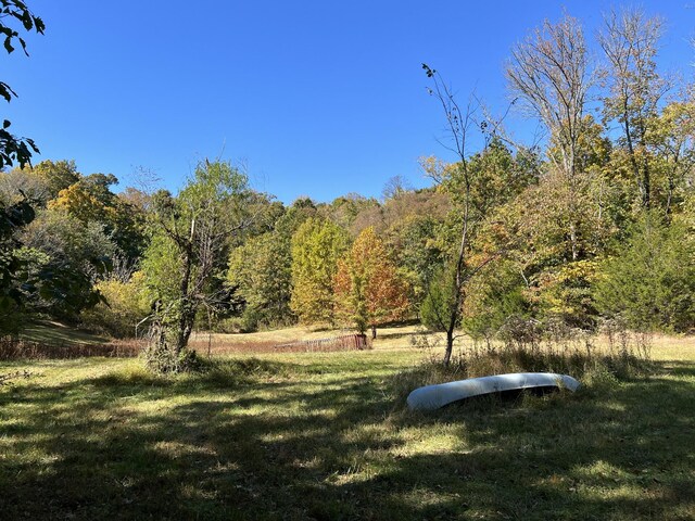 10515 Paw Paw Springs Rd, Arrington, TN 37014