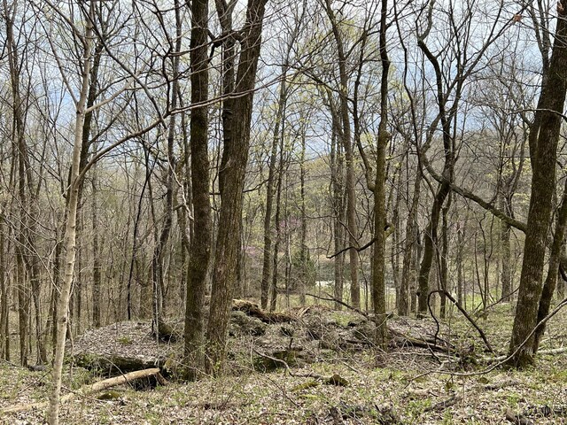 10515 Paw Paw Springs Rd, Arrington, TN 37014