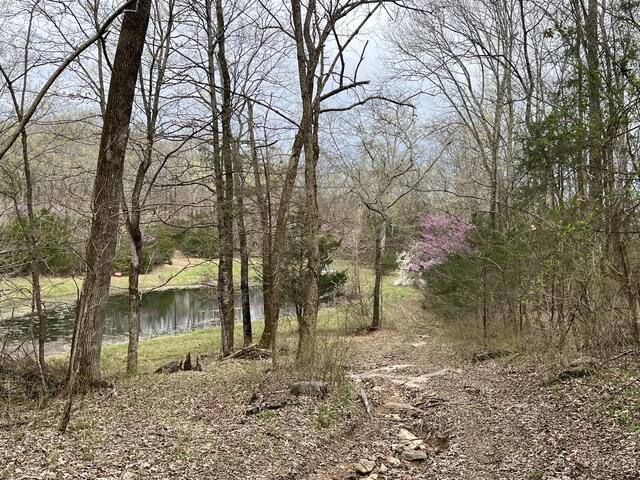 10515 Paw Paw Springs Rd, Arrington, TN 37014