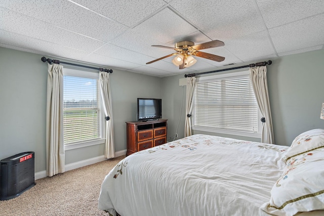 161 Halltown Rd, Cottontown, TN 37048 - photo 47