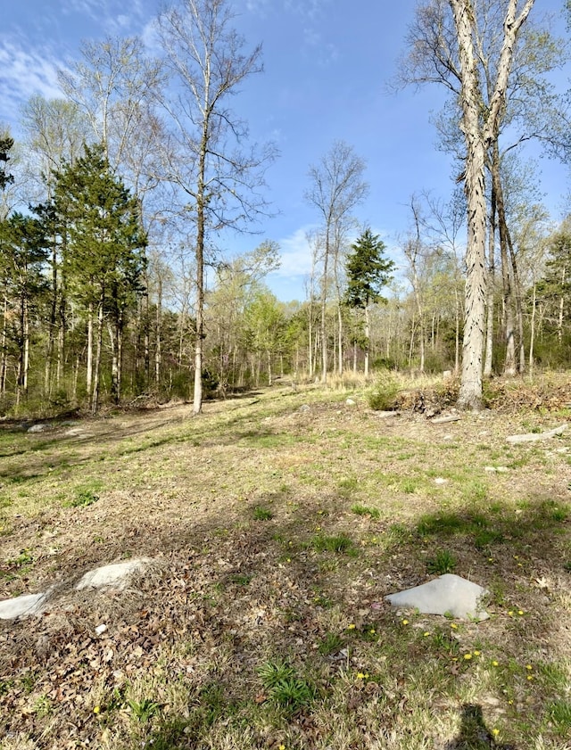 0 Buncombe Rd, Belvidere, TN 37306