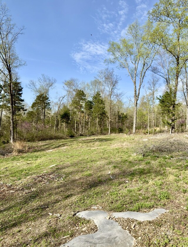 0 Buncombe Rd, Belvidere, TN 37306