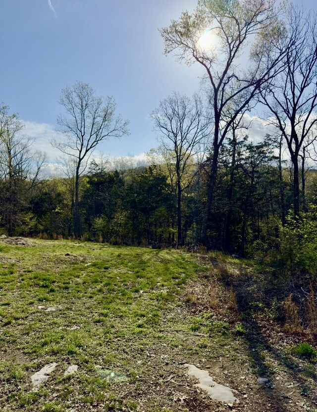 0 Buncombe Rd, Belvidere, TN 37306