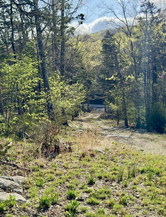 0 Buncombe Rd, Belvidere, TN 37306