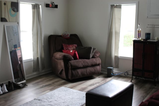 living area with wood finished floors