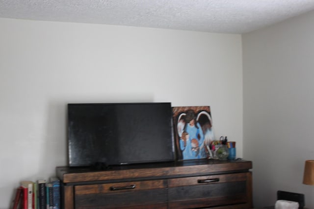 interior details featuring a textured ceiling