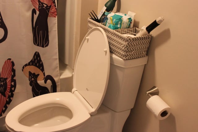 bathroom with a shower with shower curtain and toilet