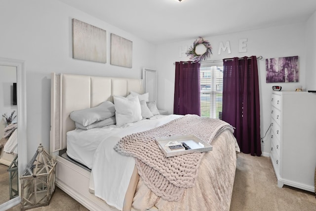 3652 Stormy Ln, Rockvale, TN 37153 - view of carpeted bedroom
