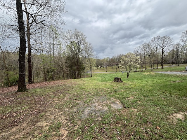 153 Henry Harris Rd, Westmoreland, TN 37186 - photo 4