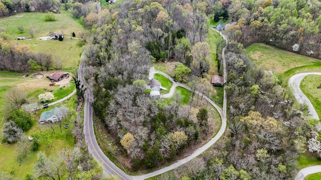 bird's eye view