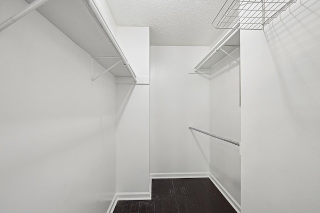 walk in closet with hardwood / wood-style floors