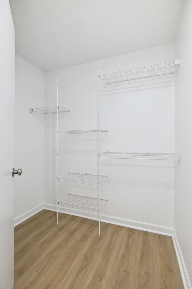 walk in closet with light wood-style floors