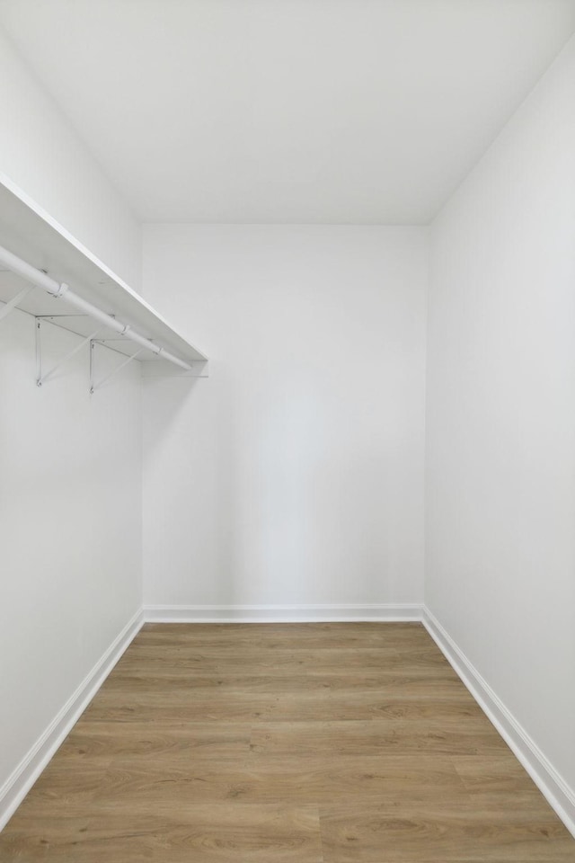 walk in closet with light wood finished floors