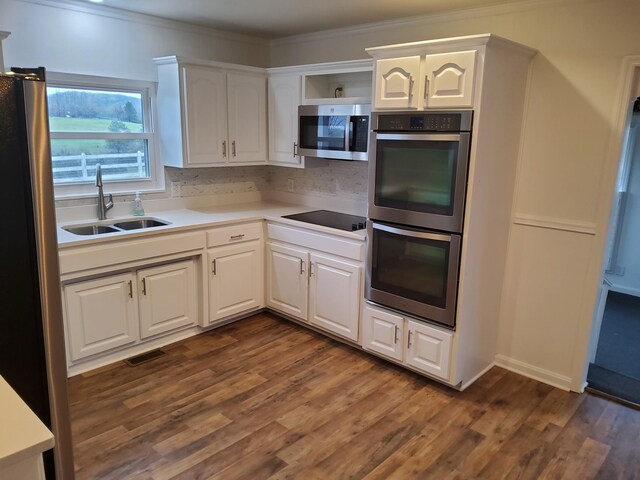 1833 Porterfield Rd, Readyville, TN 37149 - kitchen featuring stainless steel appliances, dark wood-type flooring, white cabinetry, and a sink