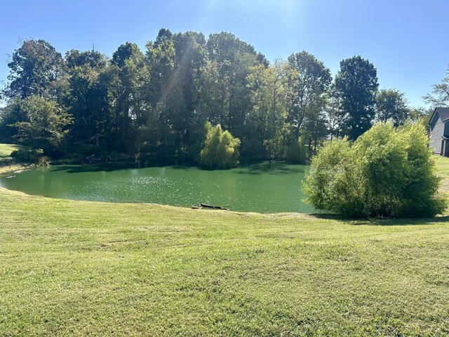 657 Battery Ct, Clarksville, TN 37042 - photo 36