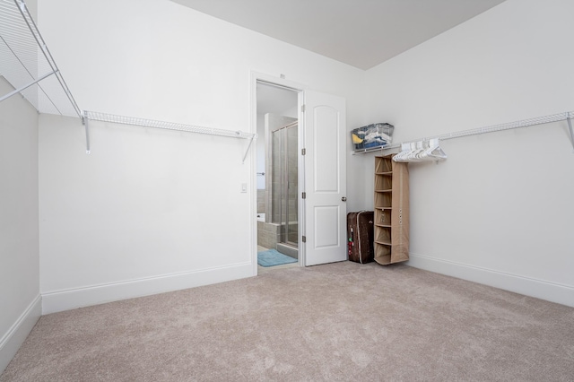 walk in closet featuring carpet floors