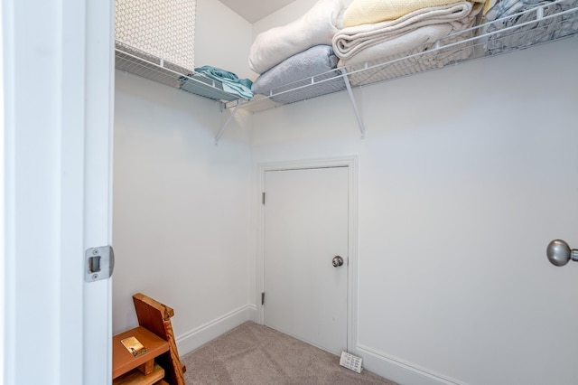 spacious closet with carpet floors
