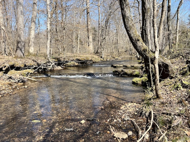 3795 Wayland Springs Rd, Iron City, TN 38463 - water view with a forest view