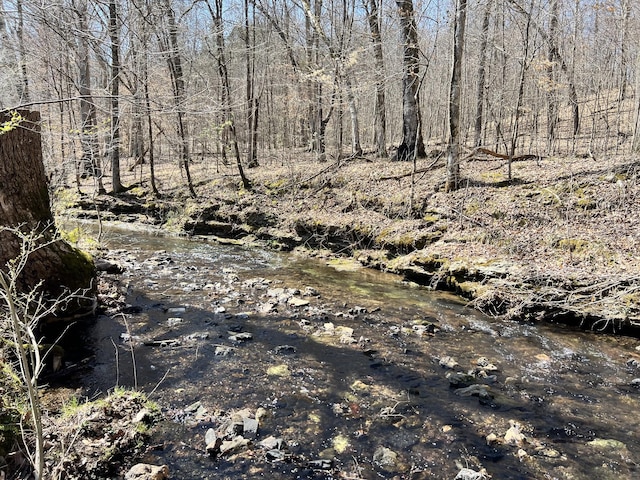 3795 Wayland Springs Rd, Iron City, TN 38463 - view of local wilderness with a view of trees