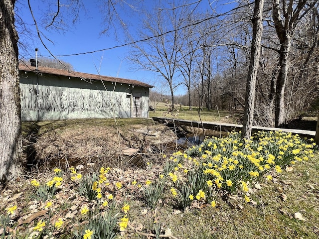 3795 Wayland Springs Rd, Iron City, TN 38463 - view of yard