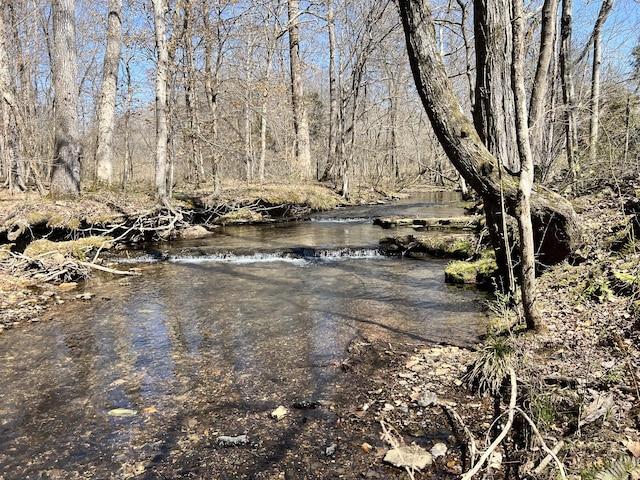 3795 Wayland Springs Rd, Iron City, TN 38463 - property view of water with a wooded view