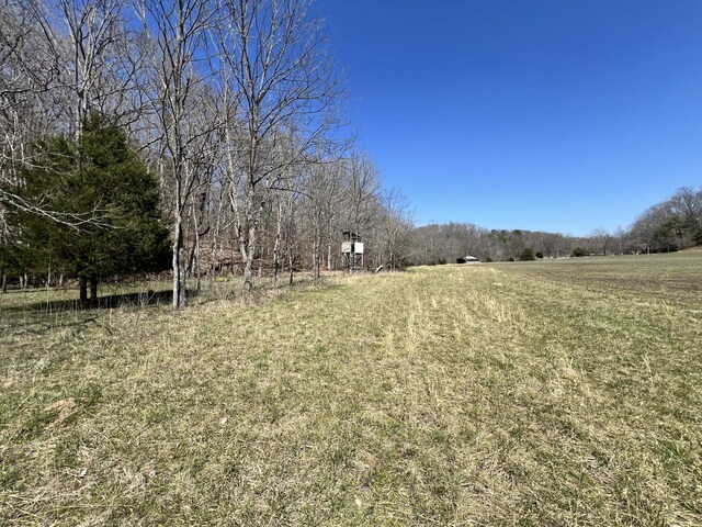 3795 Wayland Springs Rd, Iron City, TN 38463 - view of yard