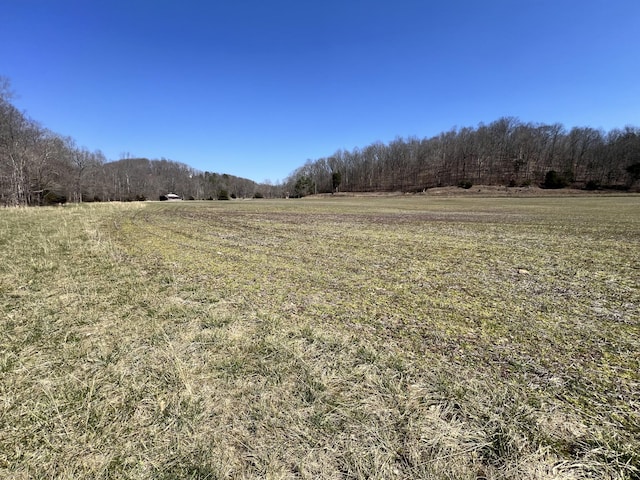 3795 Wayland Springs Rd, Iron City, TN 38463 - view of nature with a rural view and a wooded view