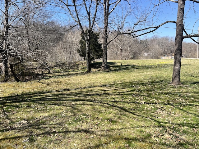 3795 Wayland Springs Rd, Iron City, TN 38463 - view of yard