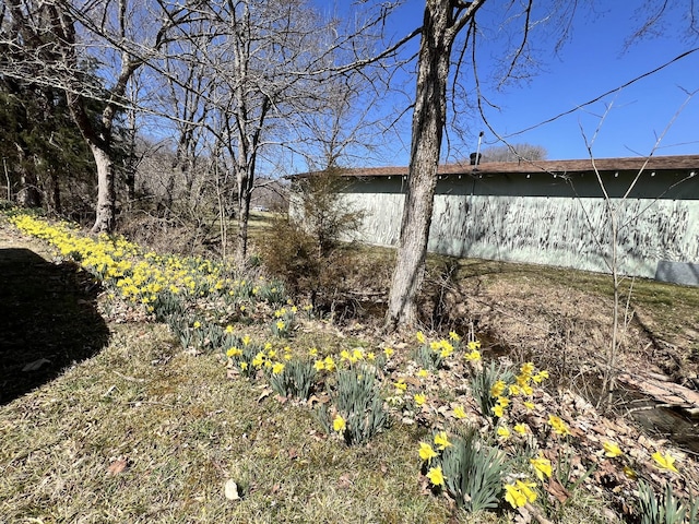 3795 Wayland Springs Rd, Iron City, TN 38463 - view of yard
