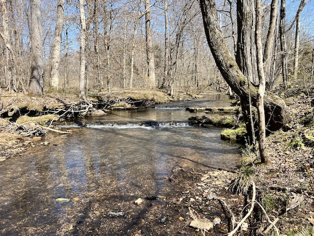 3795 Wayland Springs Rd, Iron City, TN 38463 - water view featuring a forest view