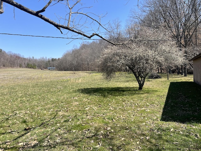 3795 Wayland Springs Rd, Iron City, TN 38463 - view of yard featuring a rural view