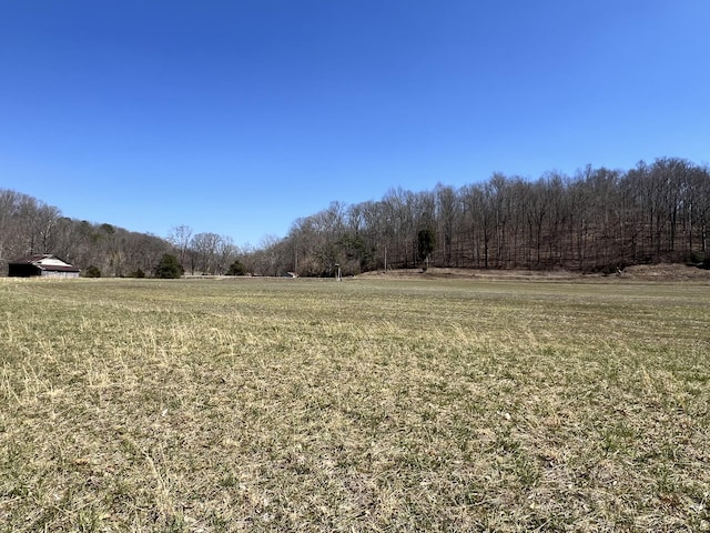 3795 Wayland Springs Rd, Iron City, TN 38463 - view of yard with a rural view and a wooded view