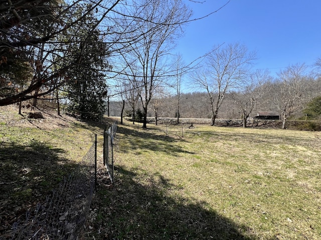 3795 Wayland Springs Rd, Iron City, TN 38463 - view of yard