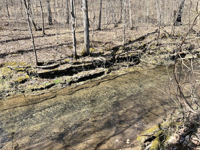 3795 Wayland Springs Rd, Iron City, TN 38463 - view of local wilderness