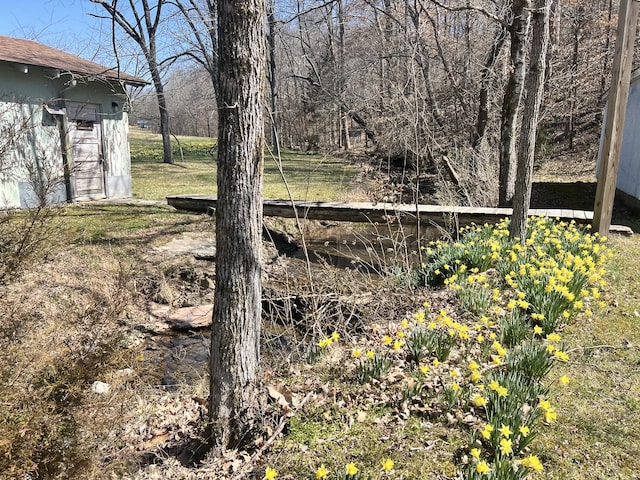 3795 Wayland Springs Rd, Iron City, TN 38463 - view of yard