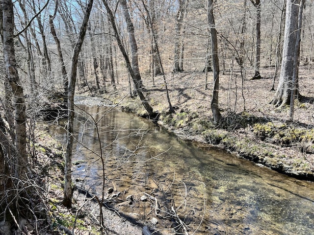 3795 Wayland Springs Rd, Iron City, TN 38463 - view of nature with a view of trees