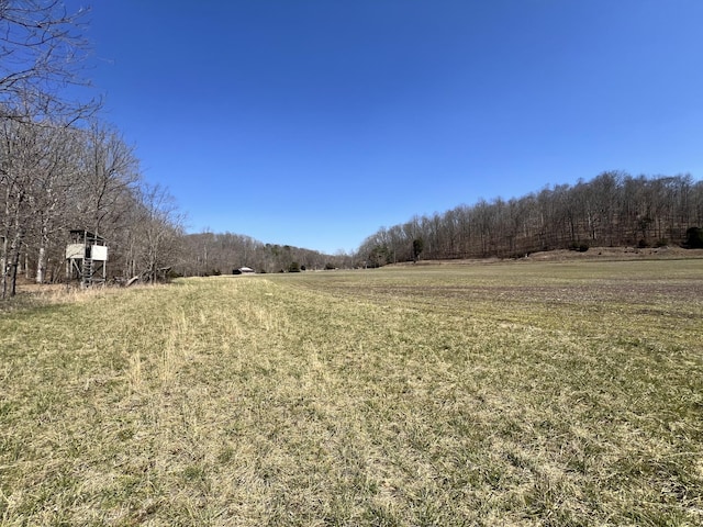 3795 Wayland Springs Rd, Iron City, TN 38463 - view of yard featuring a forest view and a rural view