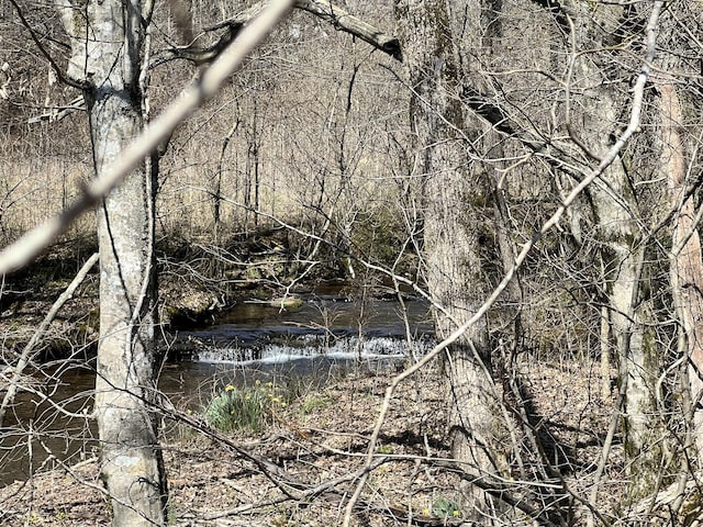 3795 Wayland Springs Rd, Iron City, TN 38463 - view of local wilderness featuring a water view