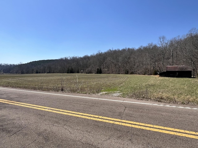 3795 Wayland Springs Rd, Iron City, TN 38463 - view of street featuring a forest view and a rural view